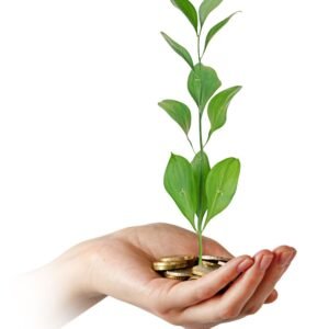 Investment Fundamentals