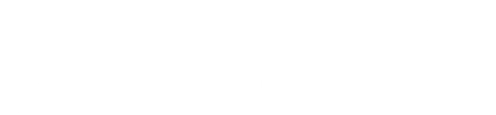 logo light